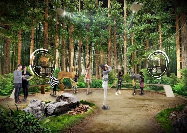 several people are standing in the middle of a forest with animals and circles around them