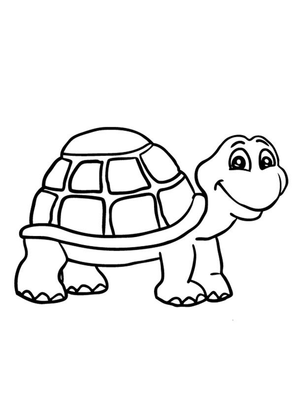 a cartoon turtle that is smiling and looking at the camera