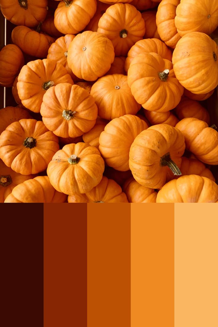 a bunch of pumpkins sitting on top of each other in front of a brown and orange color scheme