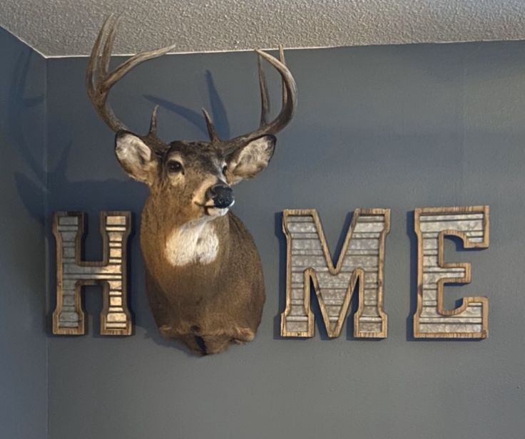 a deer head mounted to the side of a wall next to letters that spell home