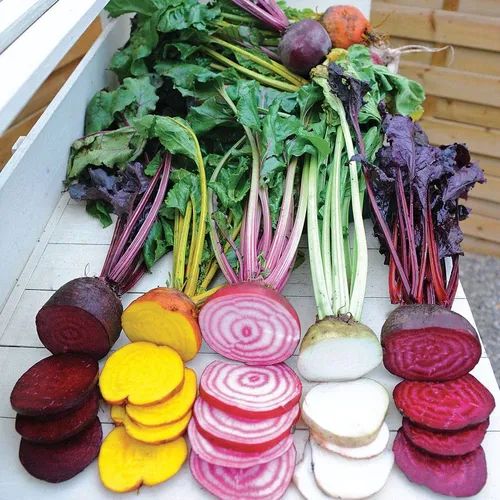 an assortment of vegetables laid out on a table