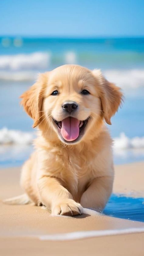 a dog laying on the beach with its mouth open