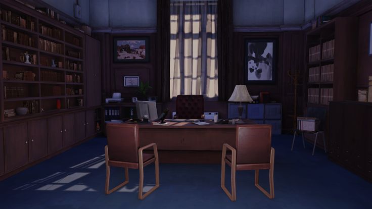 an office with two chairs and a desk in front of a book shelf filled with books