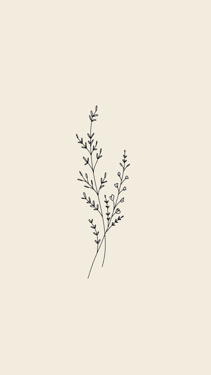 a black and white drawing of a plant on a light colored background with the words,