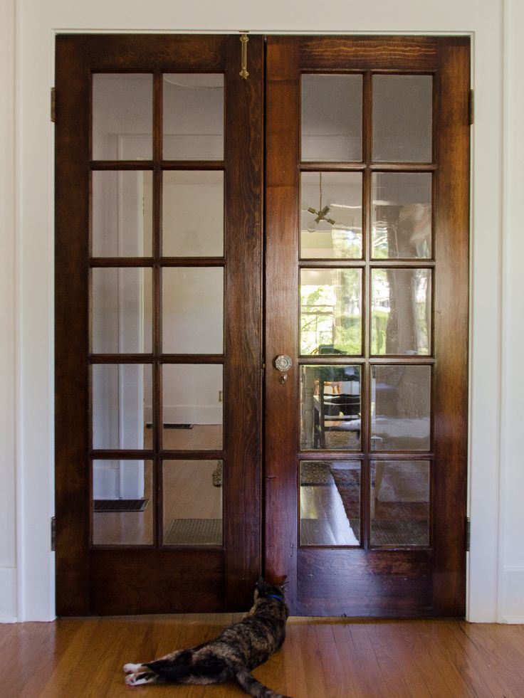 a dog laying on the floor in front of a wooden door with glass panes