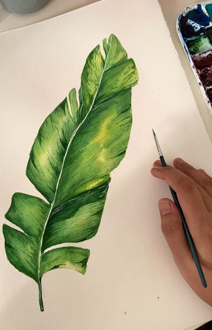 a person is painting a green leaf with watercolors