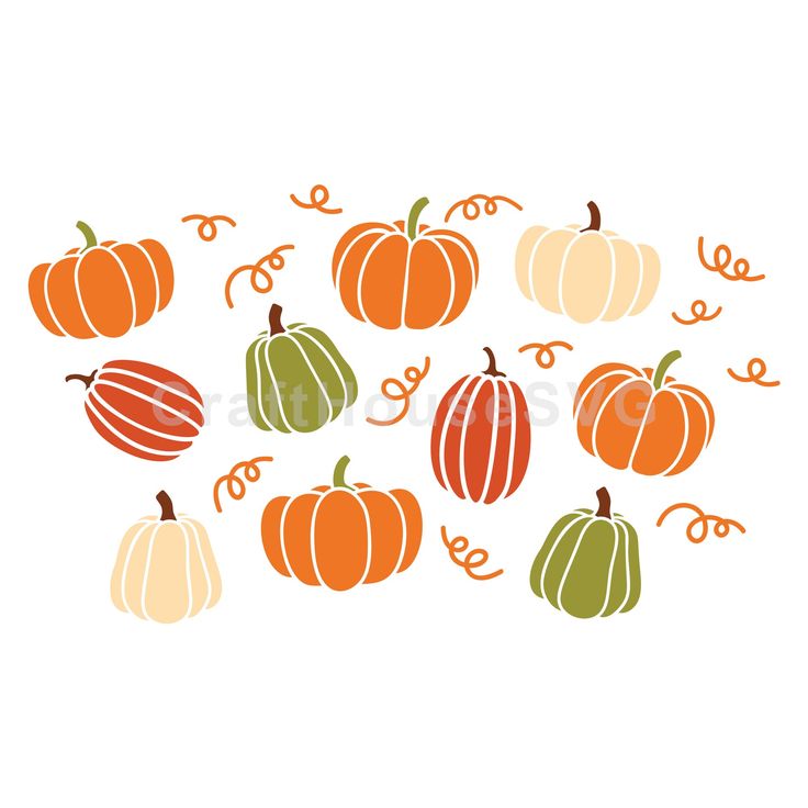 pumpkins are arranged in the shape of a circle on a white background with orange and green stripes