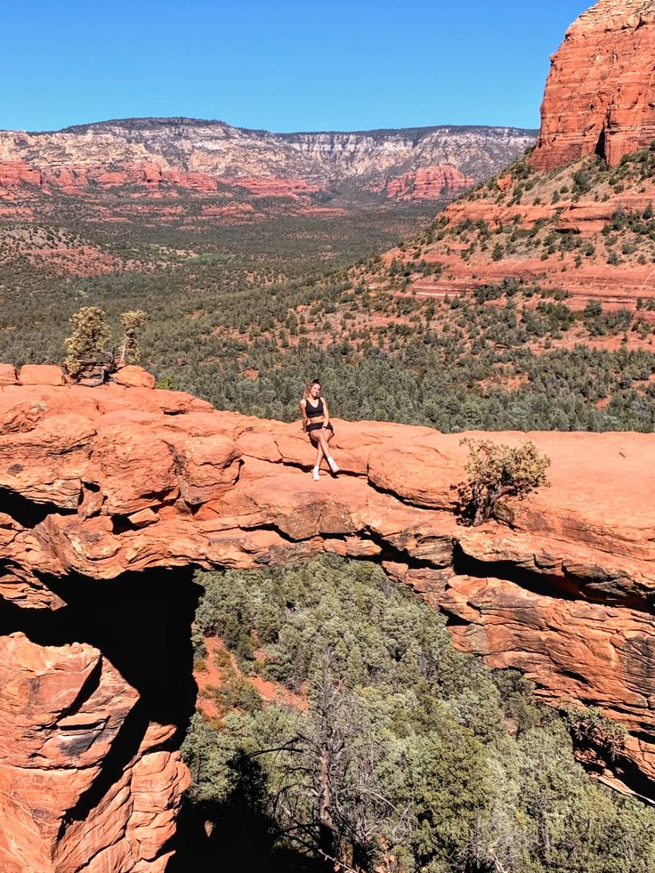 a person standing on the edge of a cliff in front of mountains with trees and bushes