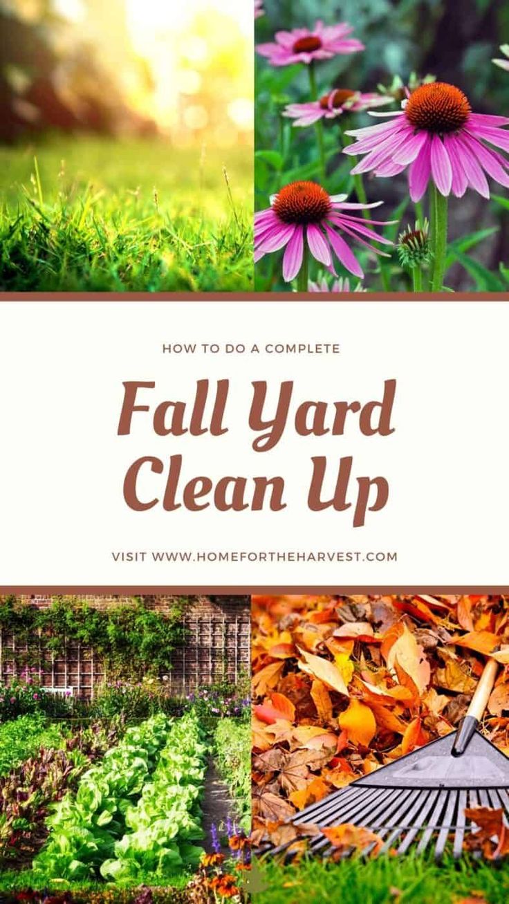 the words, how to do a complete fall yard clean up in four different pictures