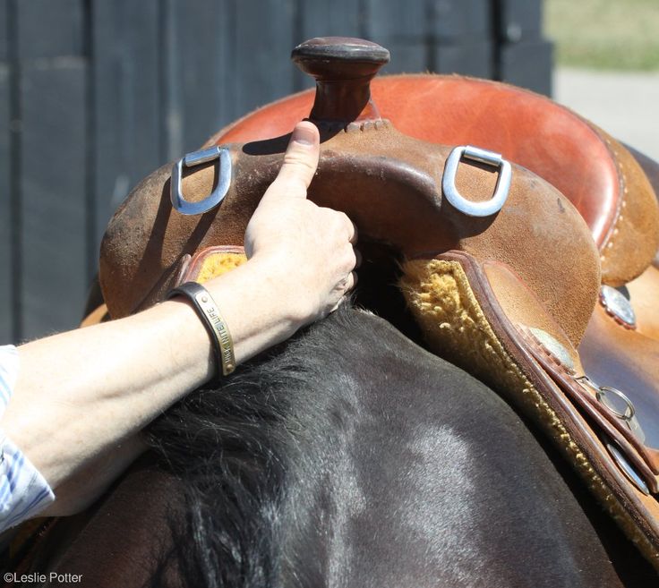 a close up of a person giving the thumbs up sign to a saddled horse