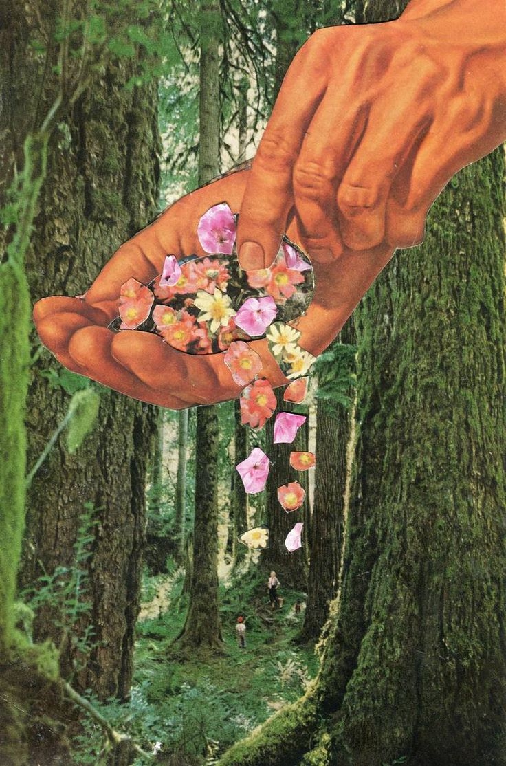 two hands holding flowers in the middle of a forest