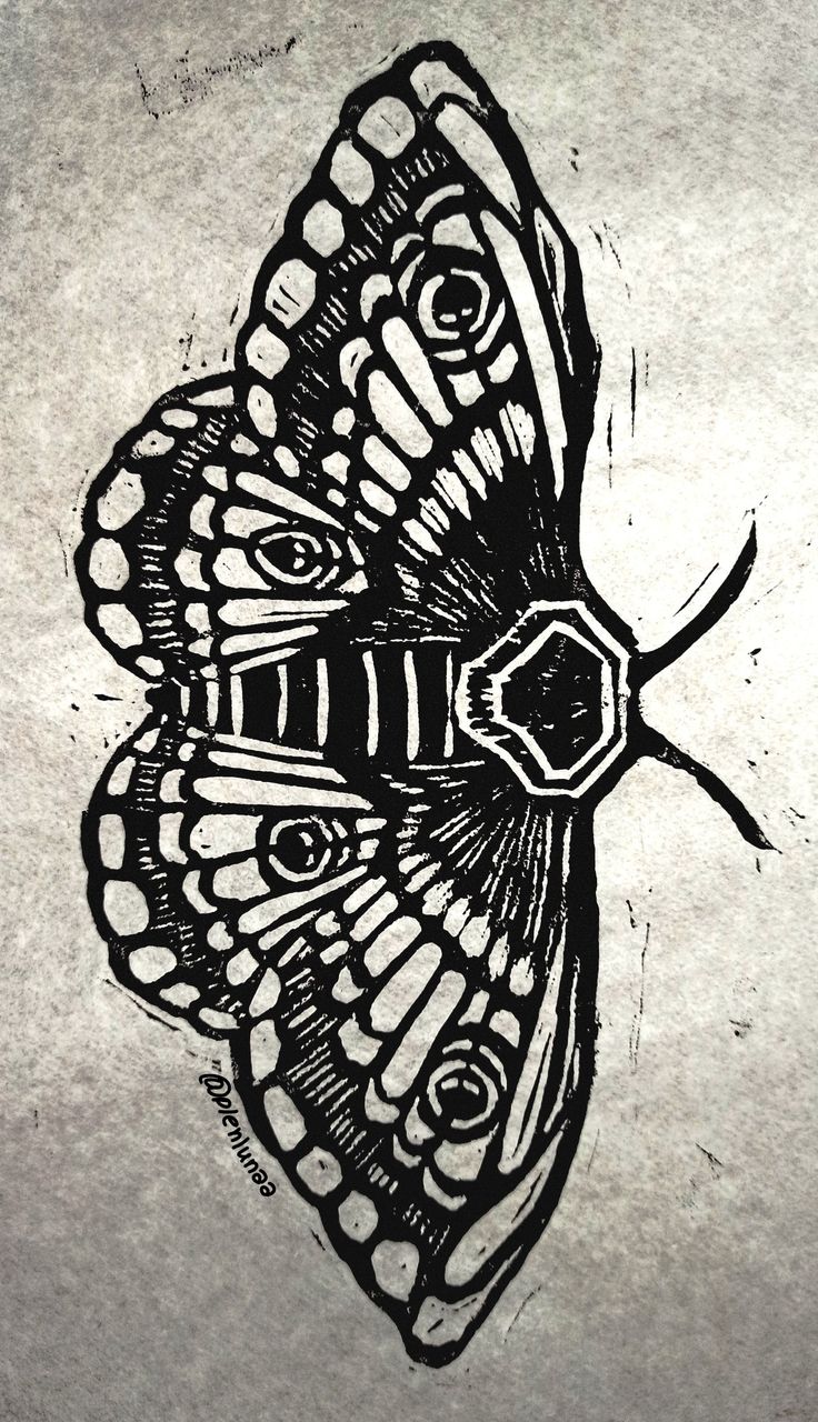 a black and white drawing of a butterfly