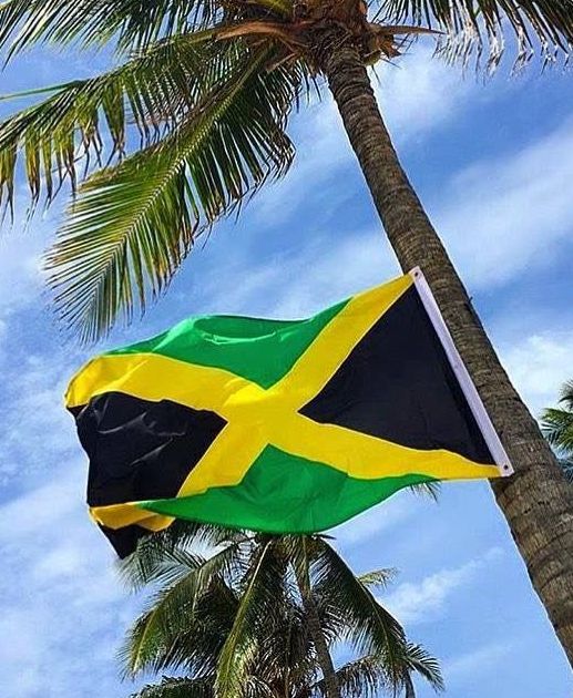 a jamaica flag flying from the side of a palm tree