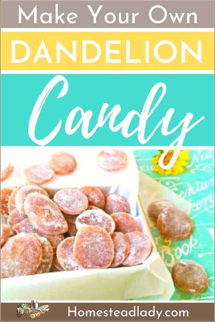 the words make your own dandelion candy are shown in front of a bowl full of donuts