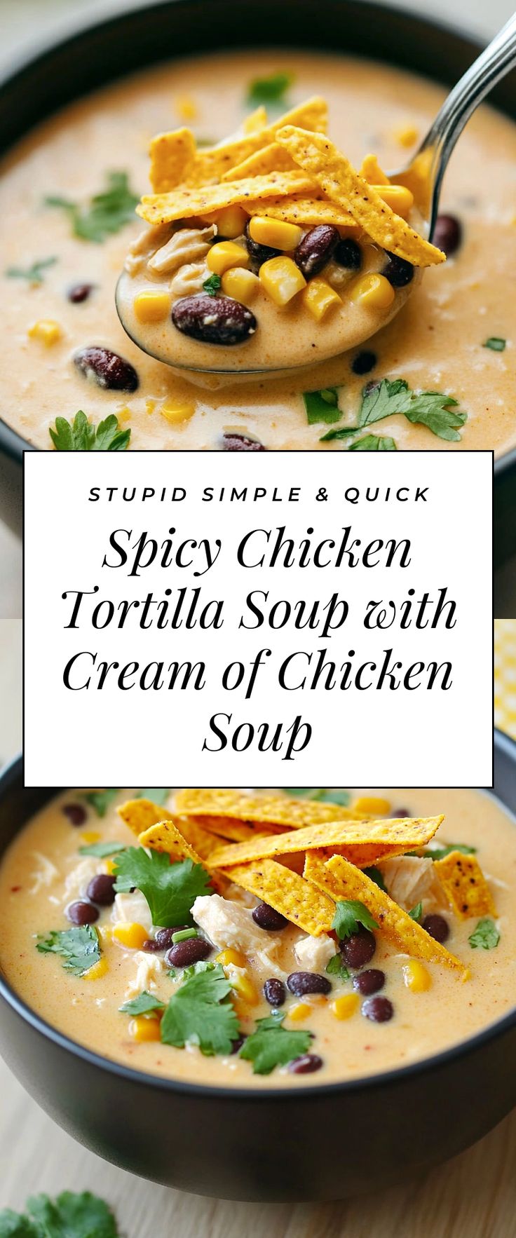 Image for Spicy Chicken Tortilla Soup with Cream of Chicken Soup Pepper Jack Chicken Soup, Spicy Soups And Stews, Soup With Cream Of Chicken, Soup With Chicken Recipes, Spicy Chicken Tortilla Soup, Spicy Chicken Soup Recipes, Spicy Soup Recipes, Texas Chicken, Spicy Chicken Soup