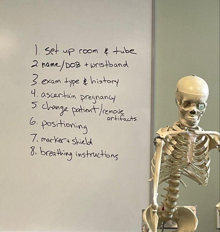 a skeleton sitting in front of a whiteboard with instructions on how to use it