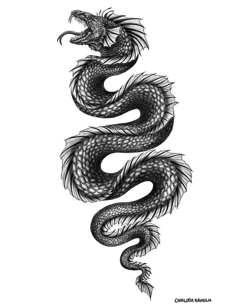 a black and white drawing of a dragon with its tail curled in the shape of a snake