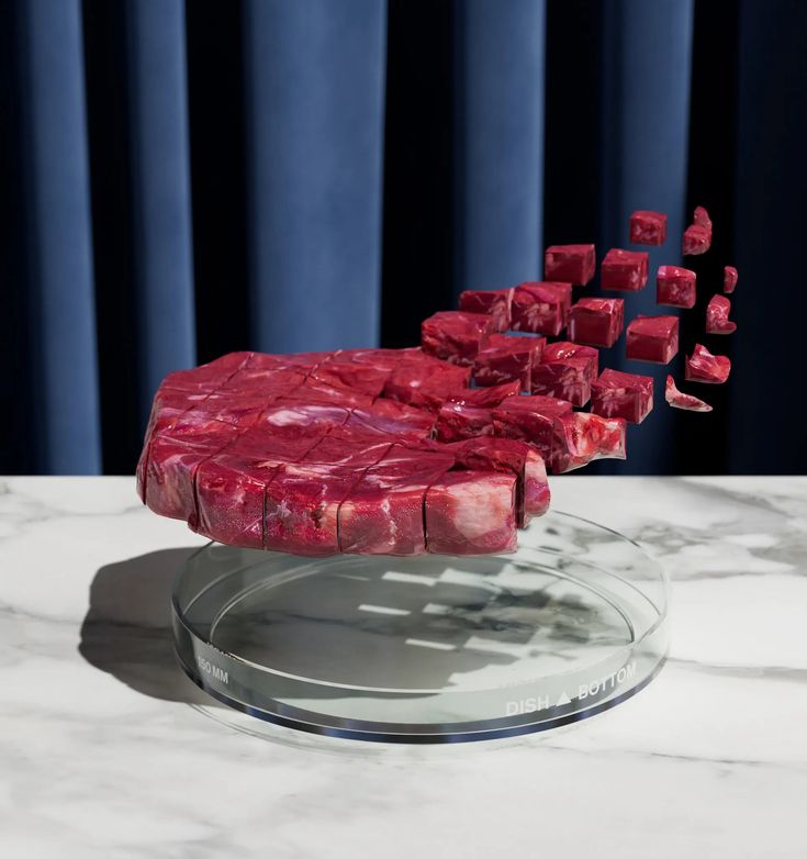 a large piece of meat sitting on top of a glass plate