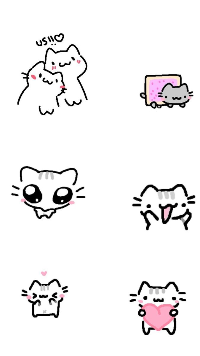 the different types of cats are drawn in this drawing style, and each has its own face