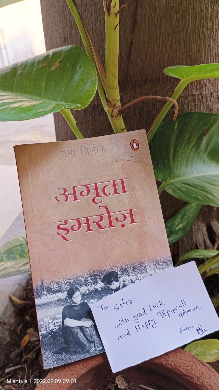 a book sitting on top of a potted plant next to a sign that reads