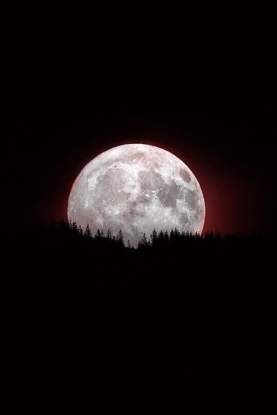 the full moon is seen over some trees in the dark night sky with red light