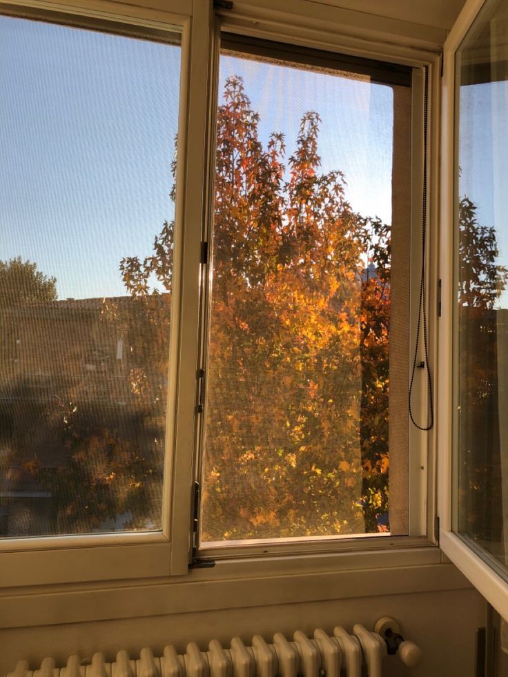 an open window with autumn trees in the background