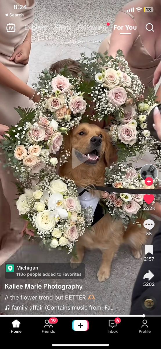 a dog is surrounded by flowers and people