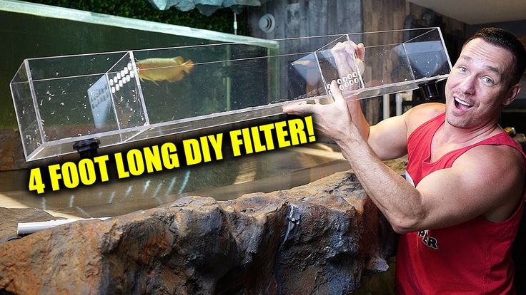 a man is holding up a fish tank with the words 4 foot long diy filterr