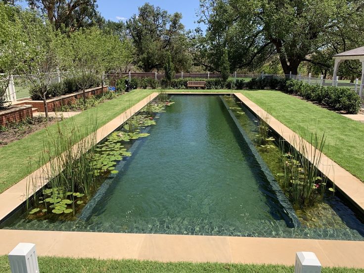 a small pond in the middle of a lawn