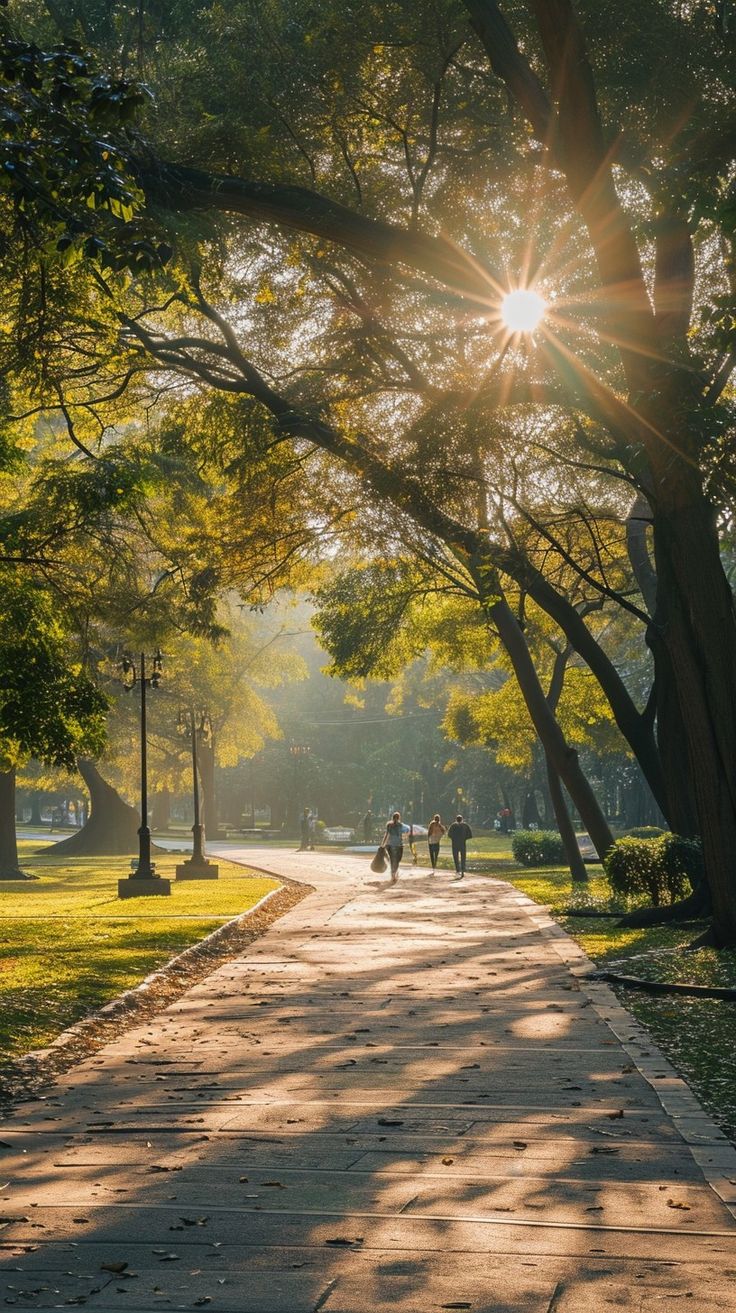 the sun shines brightly through the trees on this tree lined path in a park