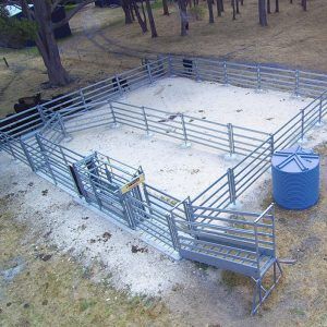 an animal pen with two cows in the background