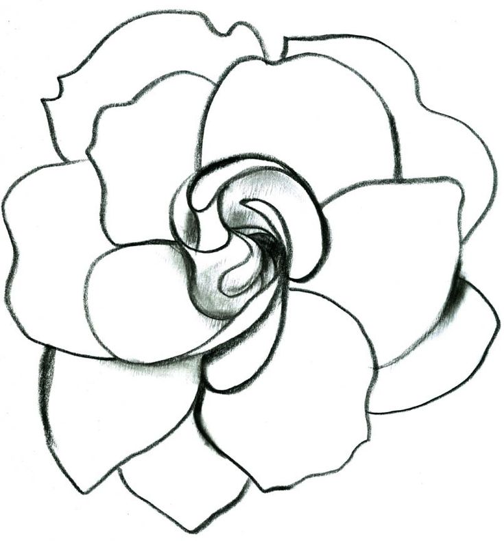 a black and white drawing of a flower