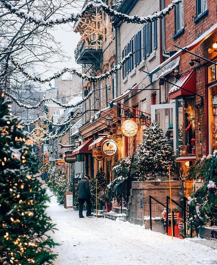 a snowy street lined with shops and christmas trees