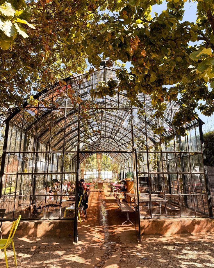 the inside of a large greenhouse with lots of plants