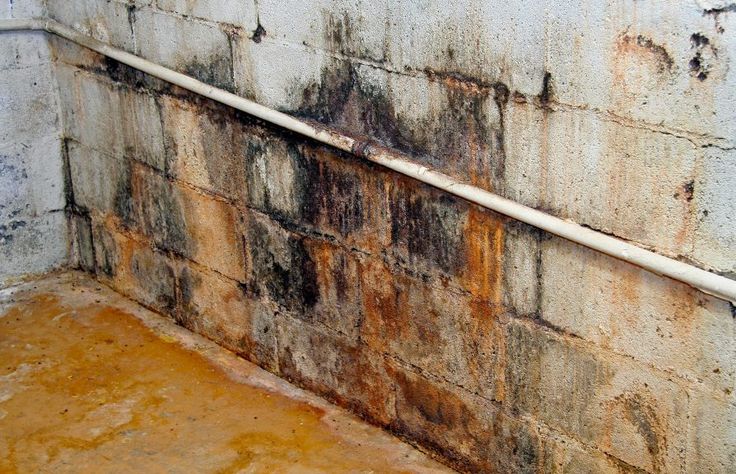 an unfinished room with concrete walls and exposed pipes