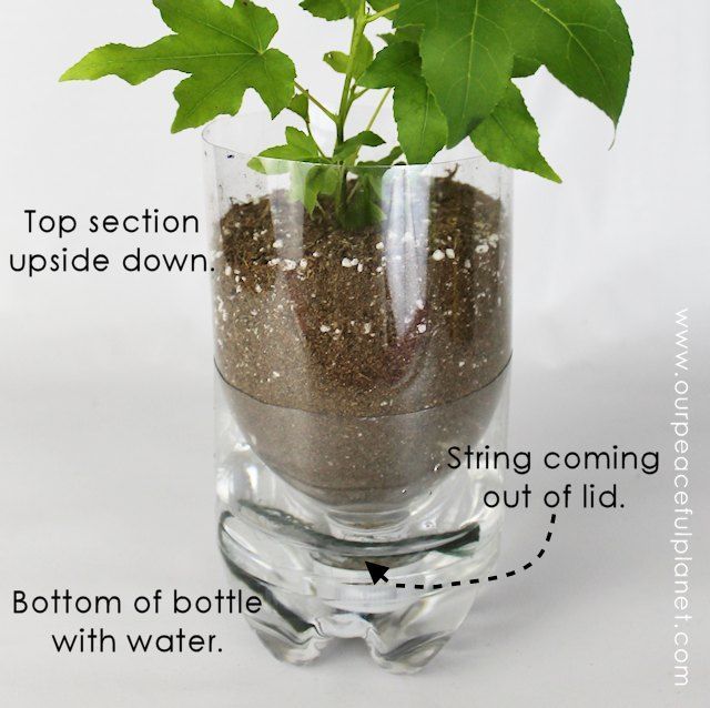 a potted plant with dirt inside and labeled parts labelled in the text above it