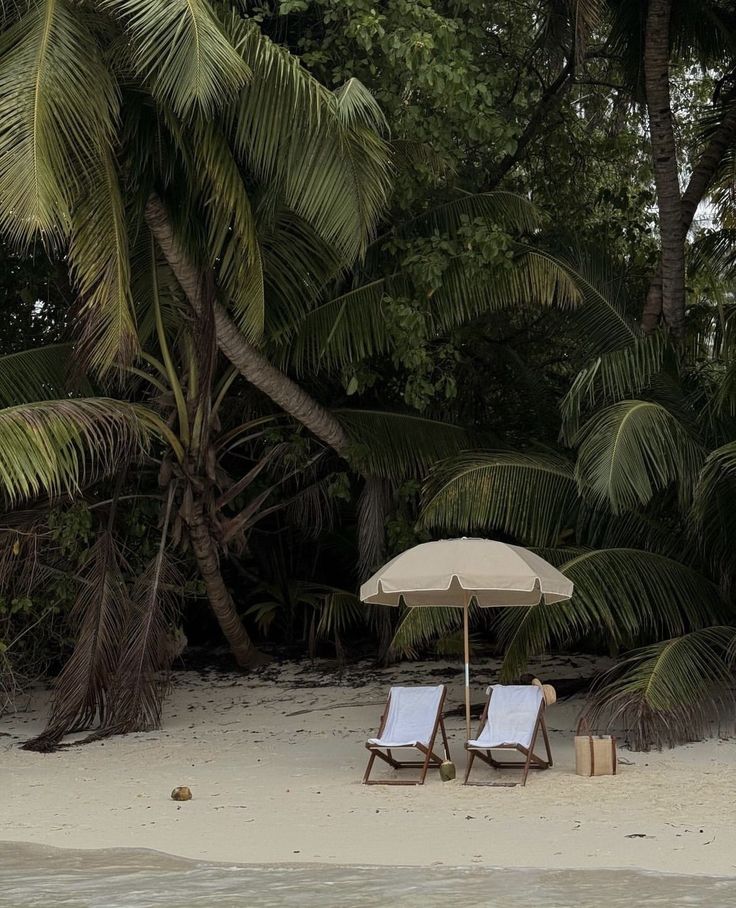 two lounge chairs under an umbrella on the beach with palm trees in the back ground