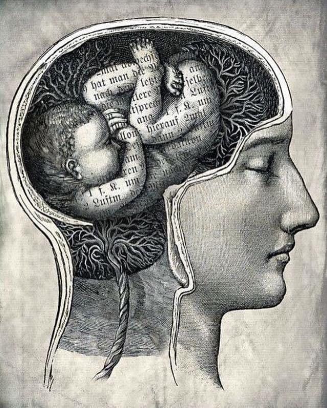 a drawing of a person's head and brain