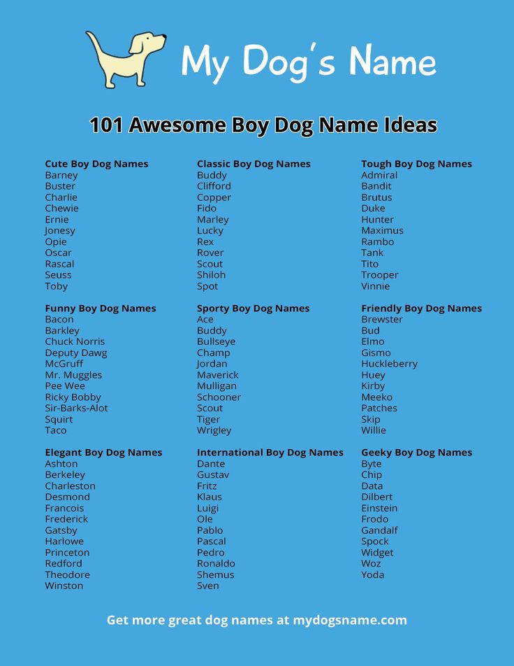 a dog's name on a blue background with the words, my dog's name