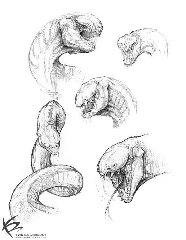 some drawings of snakes and their mouths