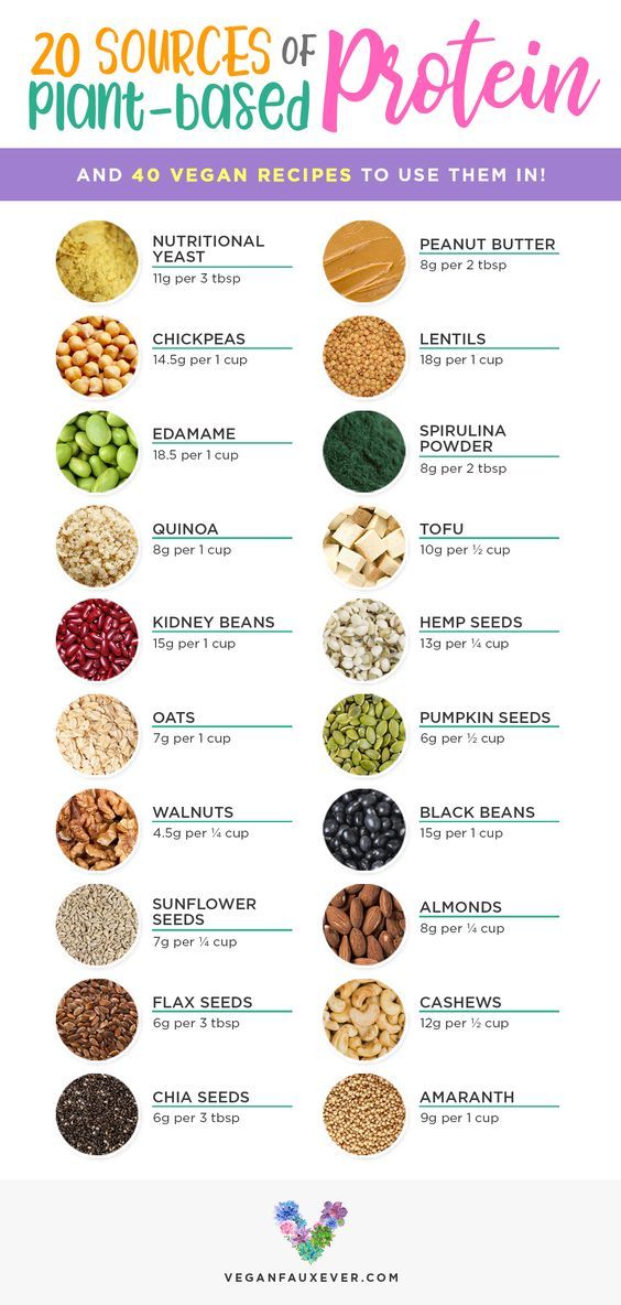 the 20 sources of plant - based protein