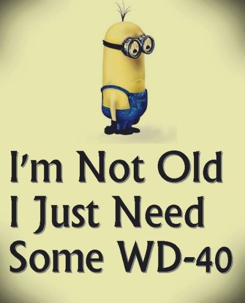 a minion with the words i'm not old i just need some wd - 40