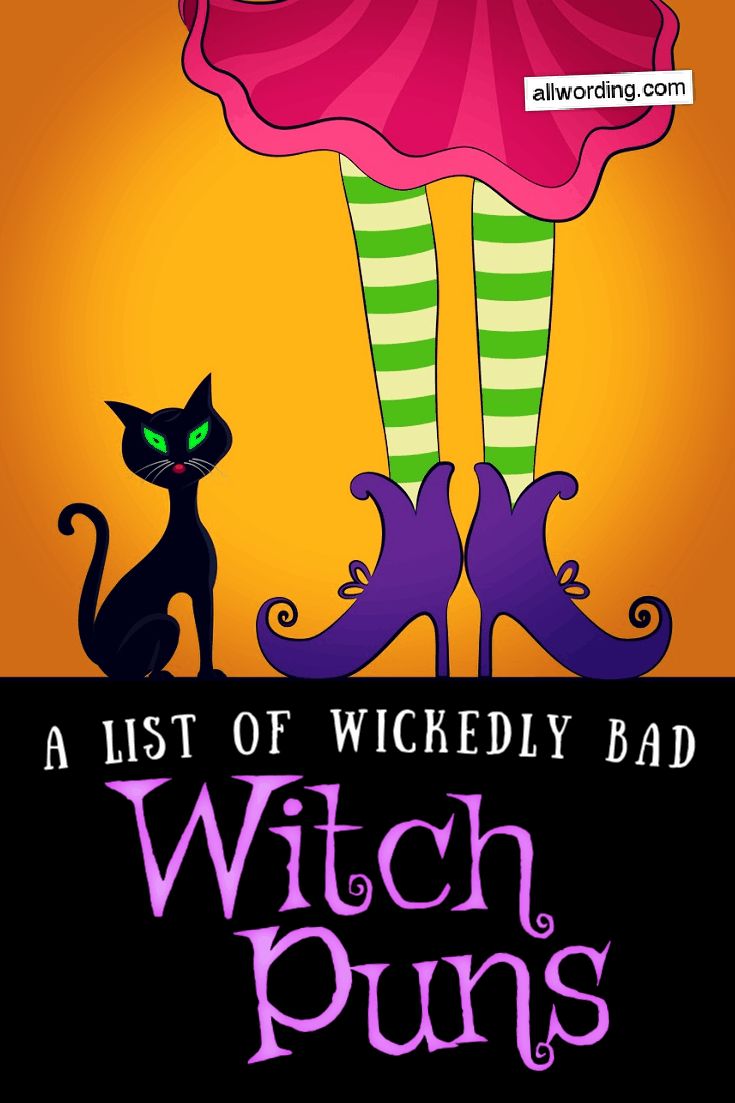 a book cover for a list of wickyy bad witch puns with a black cat