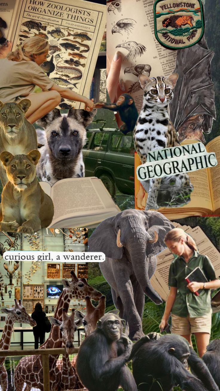 the collage shows different types of animals and people