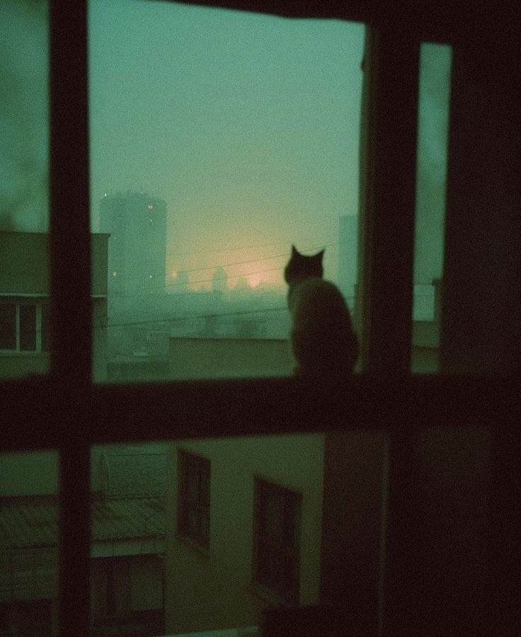 a cat sitting on top of a window sill in front of a city skyline