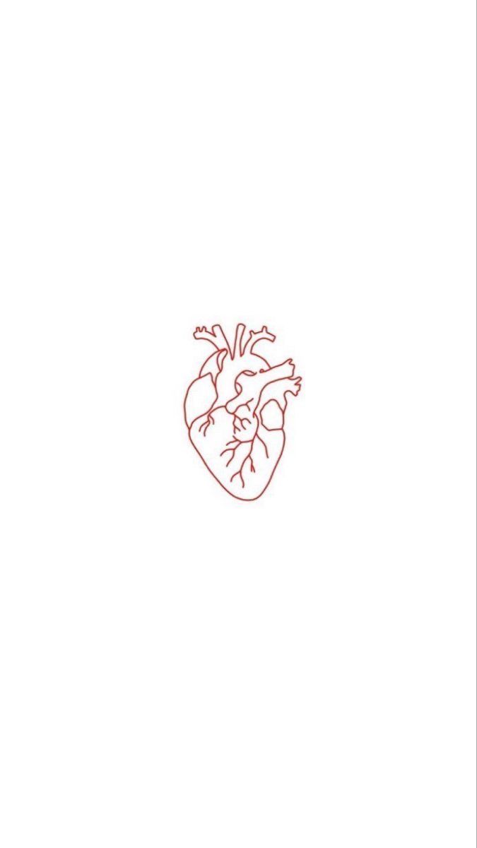 a drawing of a heart on a white background