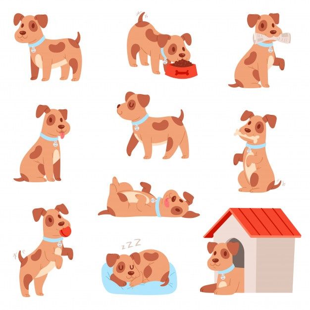 cartoon dogs with different poses and emotions - animals characters / objects clippings on separate layers