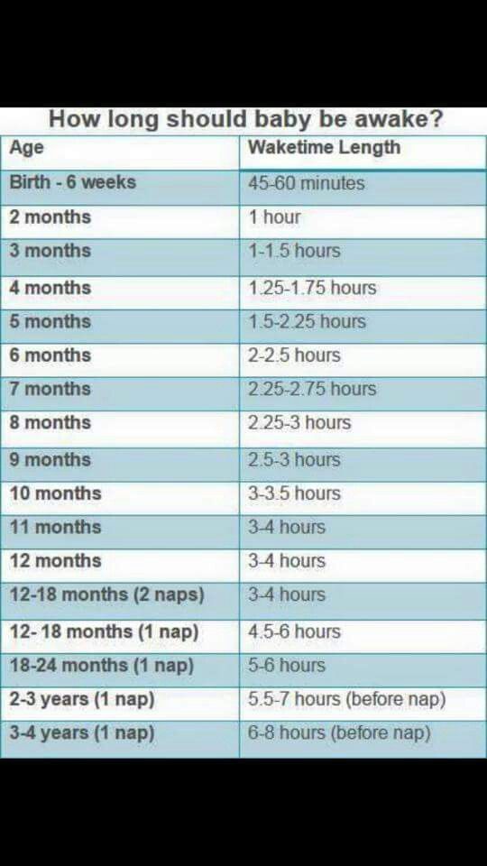 the baby's height chart shows how long it takes to be in each month