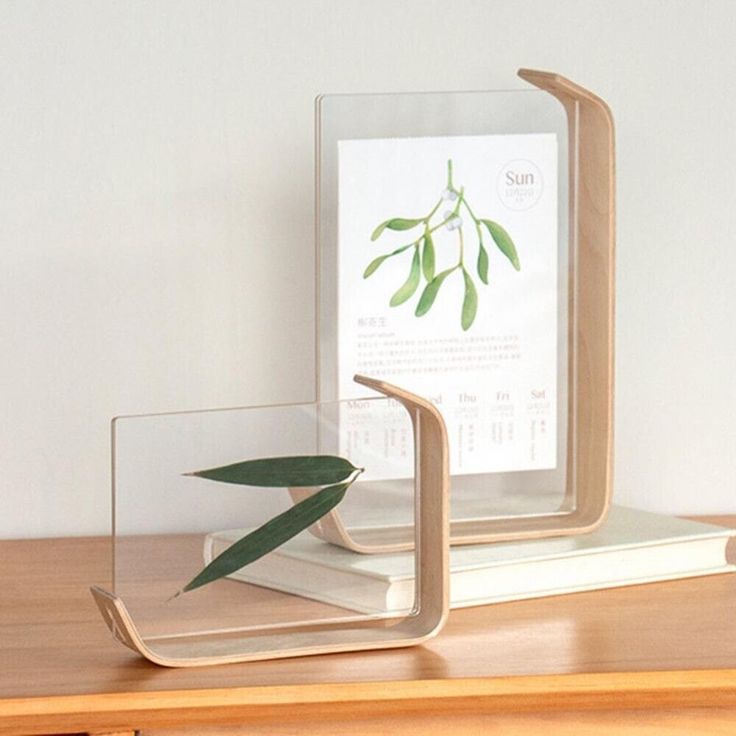 a glass vase with a plant in it sitting on top of a wooden table next to a book