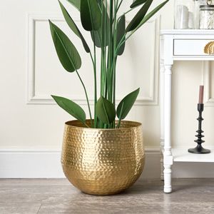 a potted plant sitting on top of a wooden floor next to a white table